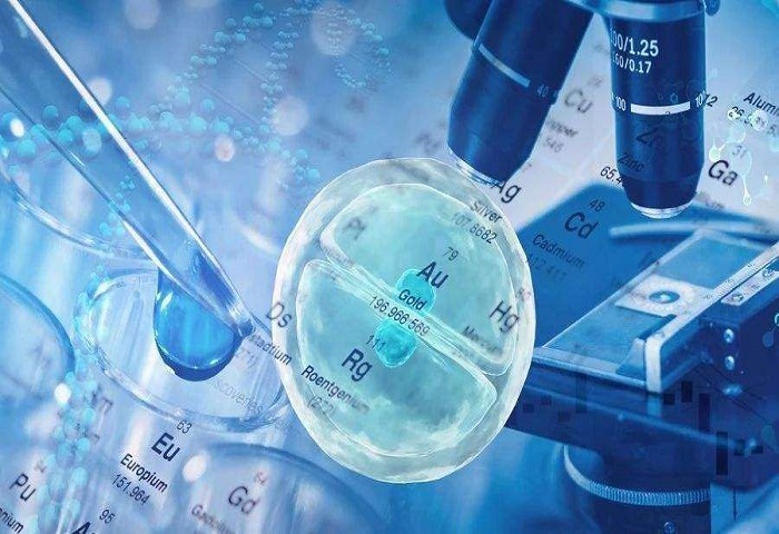 试管怀孕后要做无创吗
