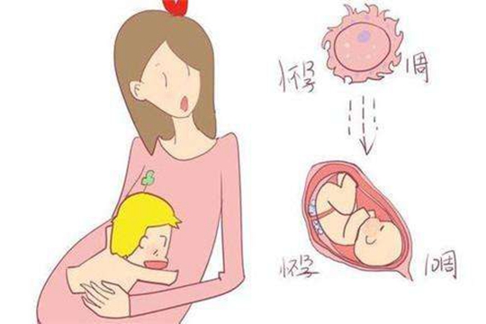 代生孩子男具体多少钱